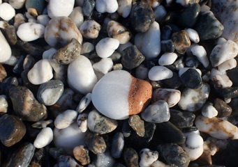 P8096942a.jpg